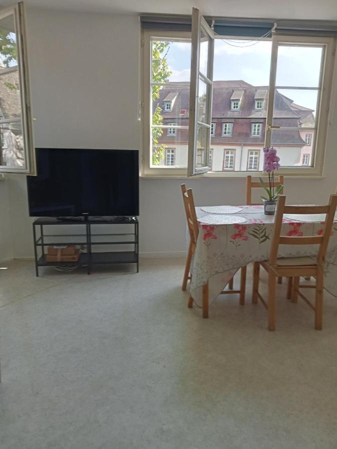 Ferienwohnung Au Coeur De La Petite France Straßburg Exterior foto