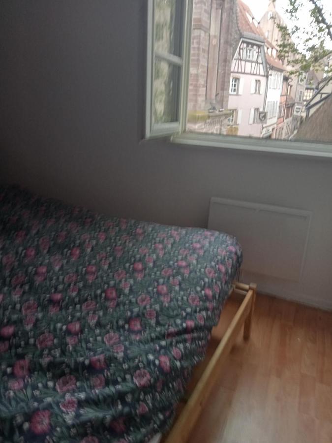 Ferienwohnung Au Coeur De La Petite France Straßburg Exterior foto